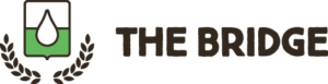 logo-thebridge-horizontal-opt